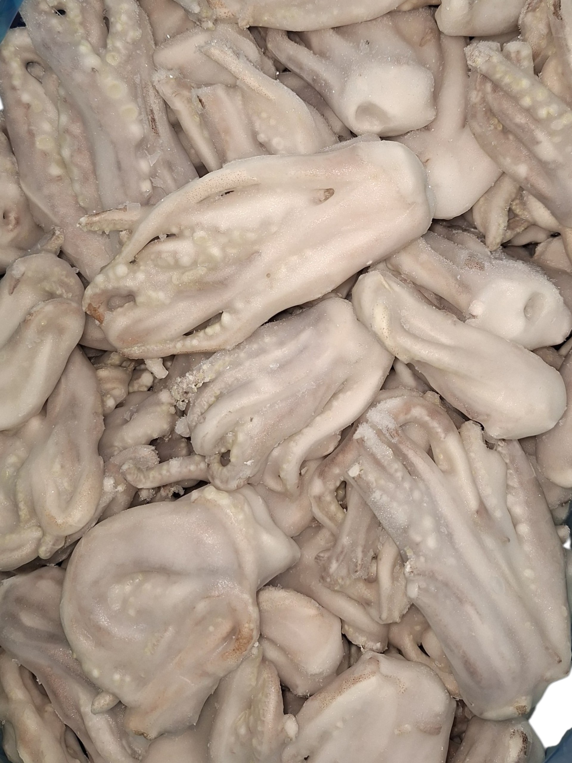 REJOS POTA C/P IQF AYR 6KG