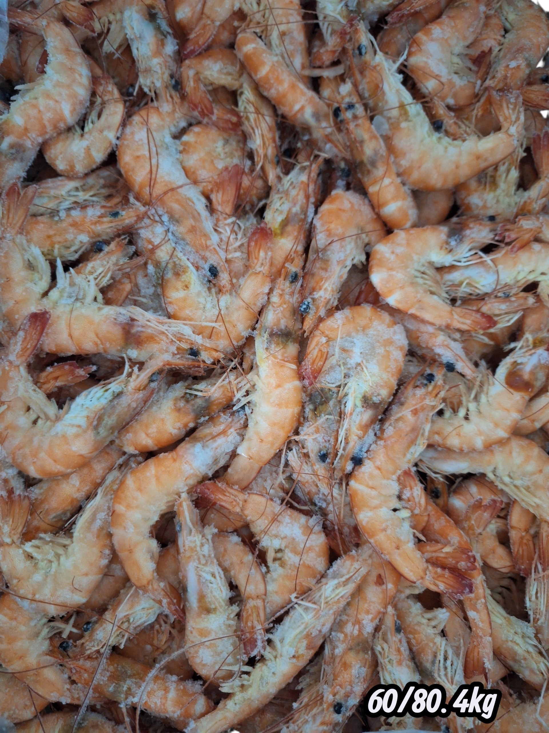 LANGOSTINO COCI. 60/80 IQF H 4KG