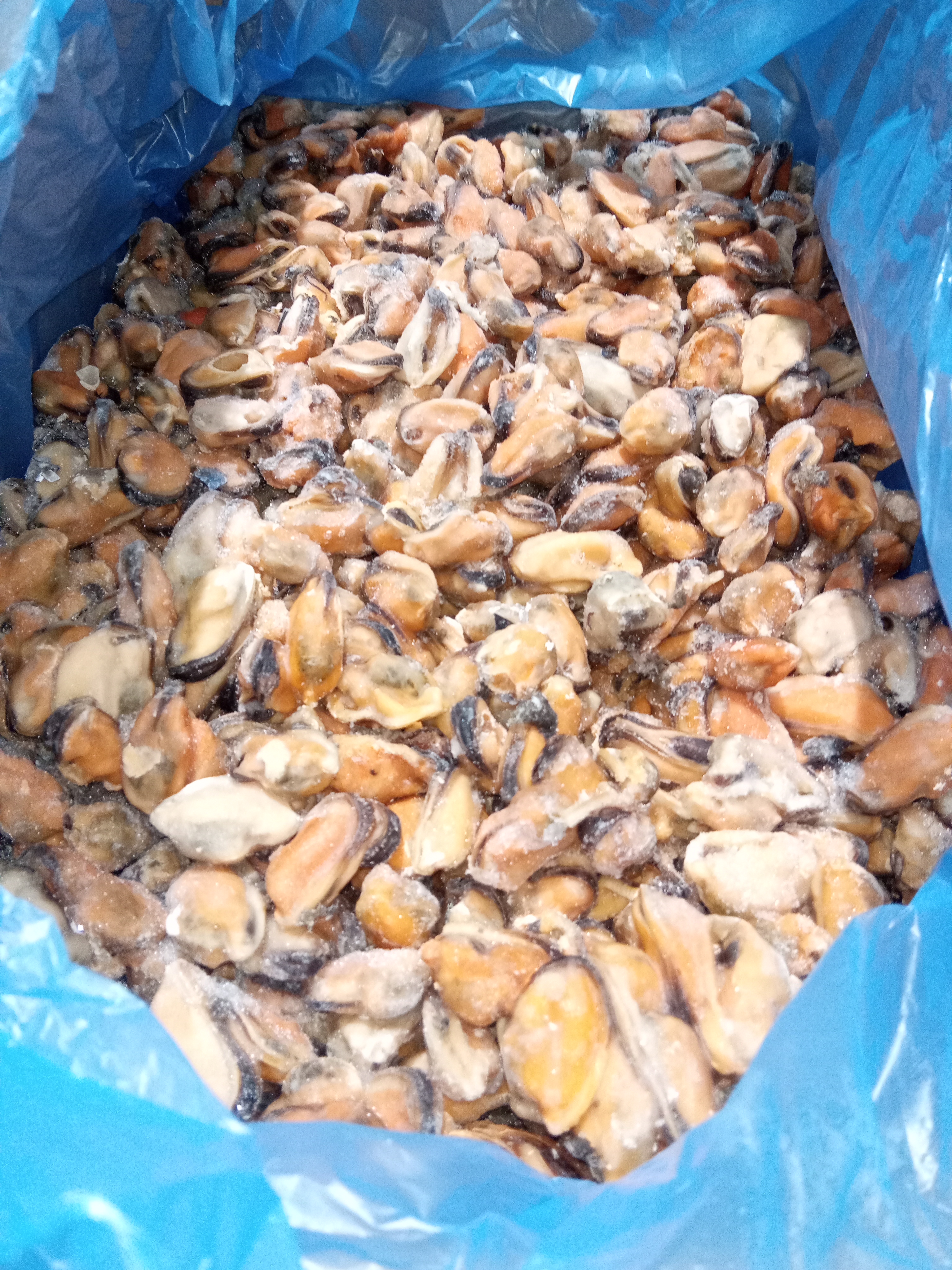 MEJILLON CARNE 100/200 IQF 10 KG