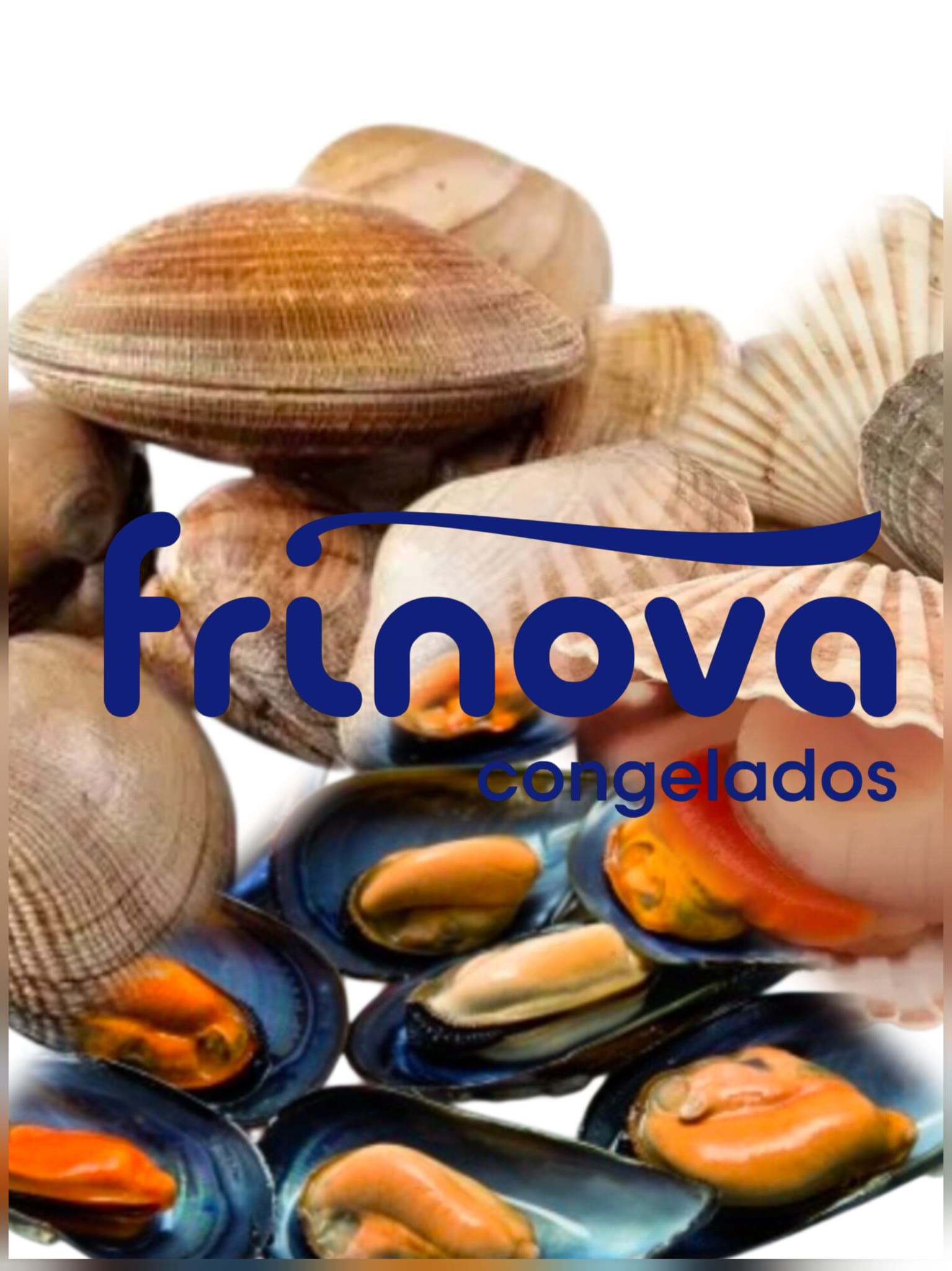 BIVALVOS